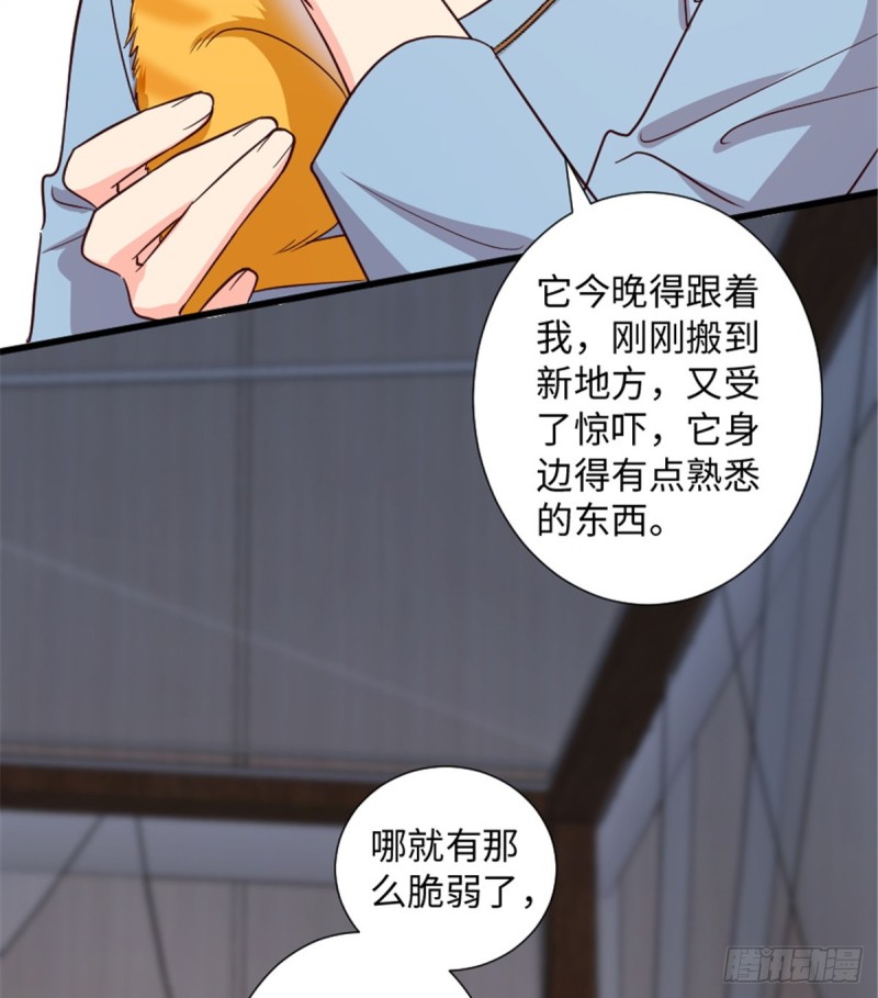 第 39 页