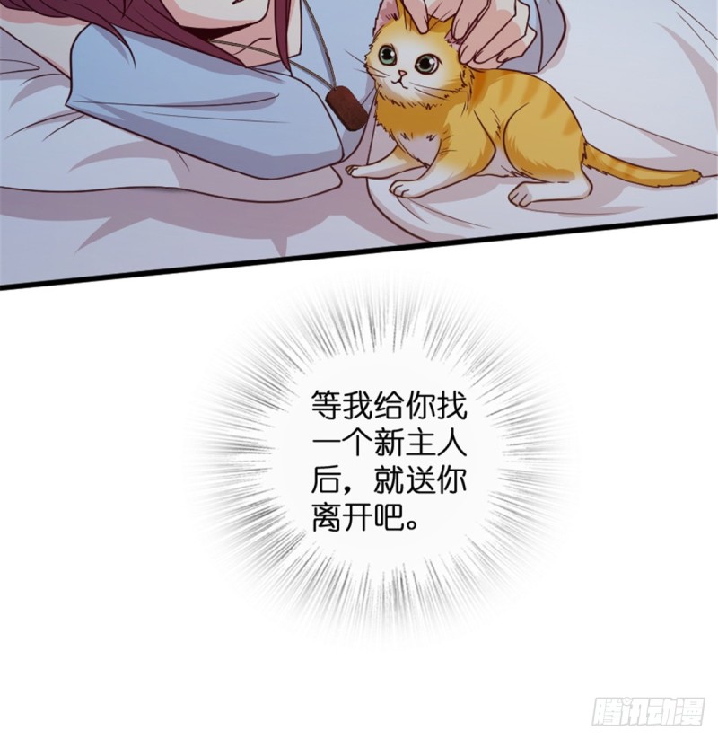 第 68 页