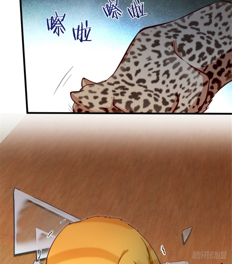第 41 页
