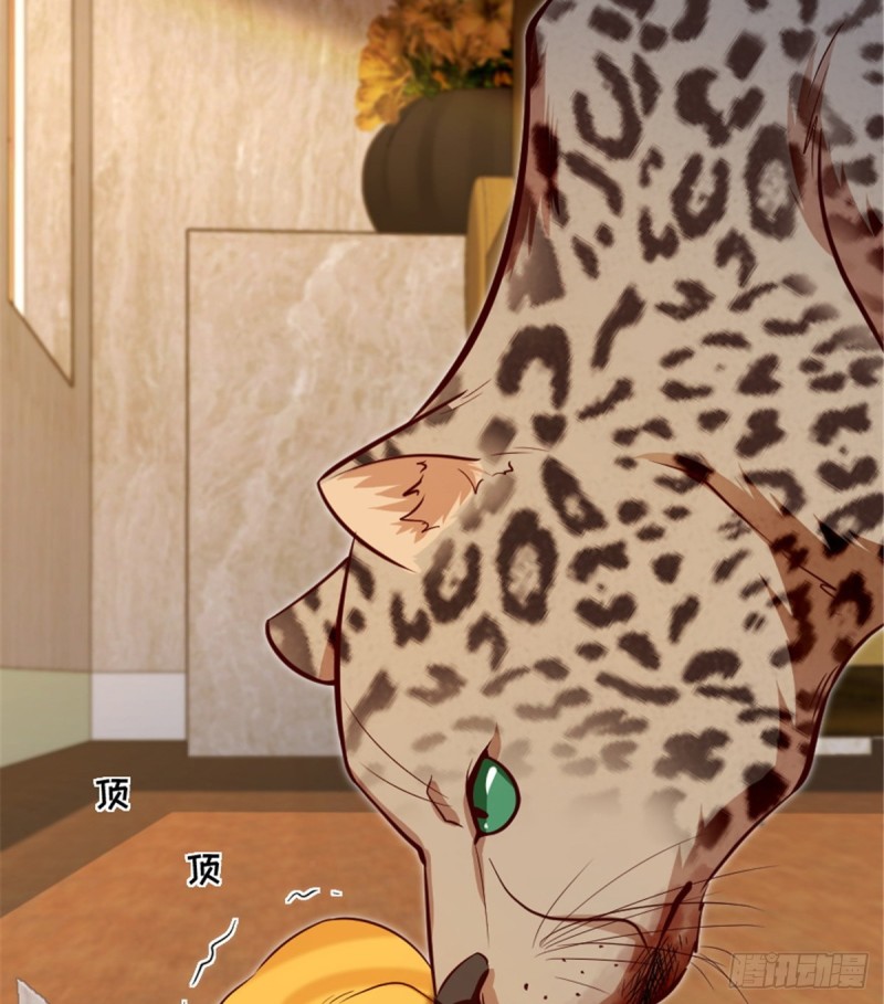 第 43 页