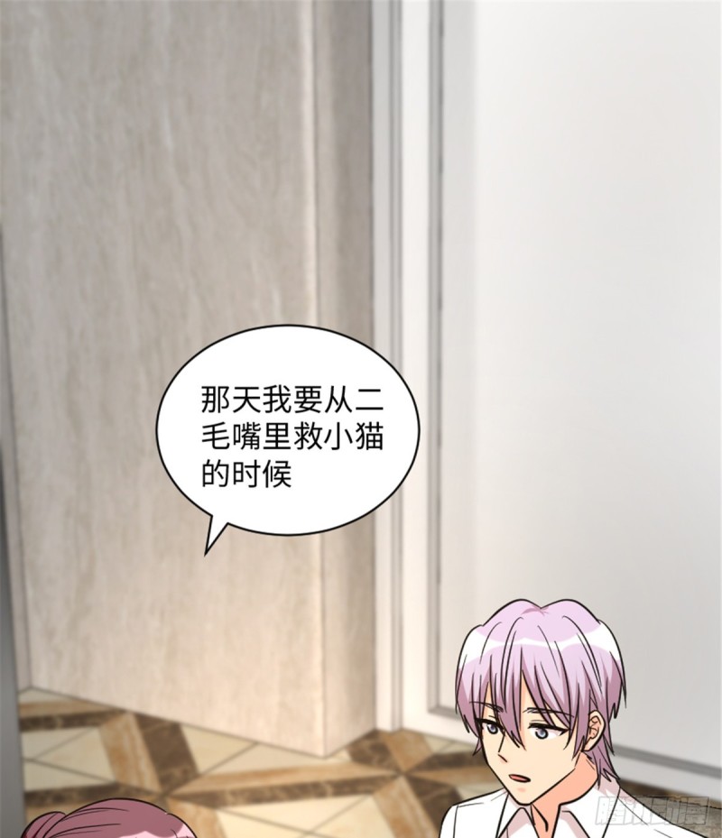 第 41 页