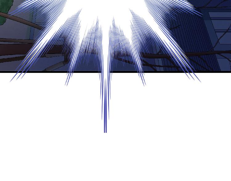 第 113 页