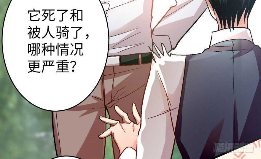 第 55 页