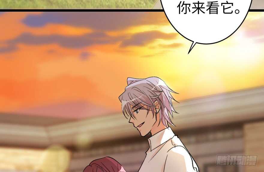 第 116 页