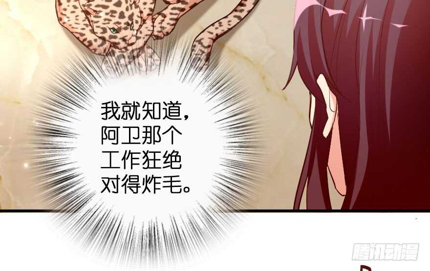 第 135 页