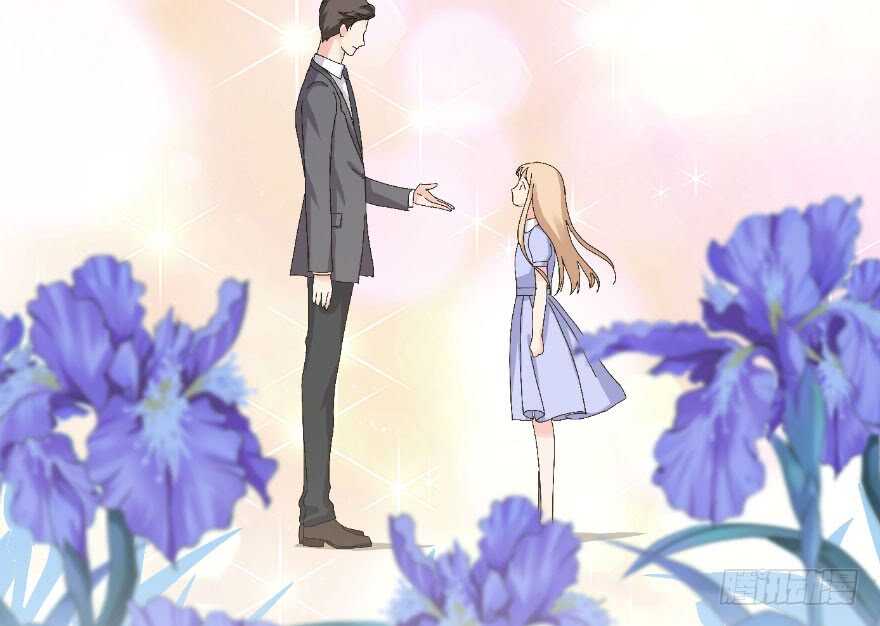 第 113 页