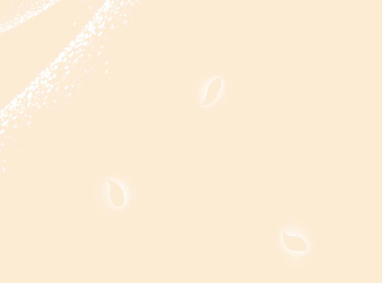 第 125 页