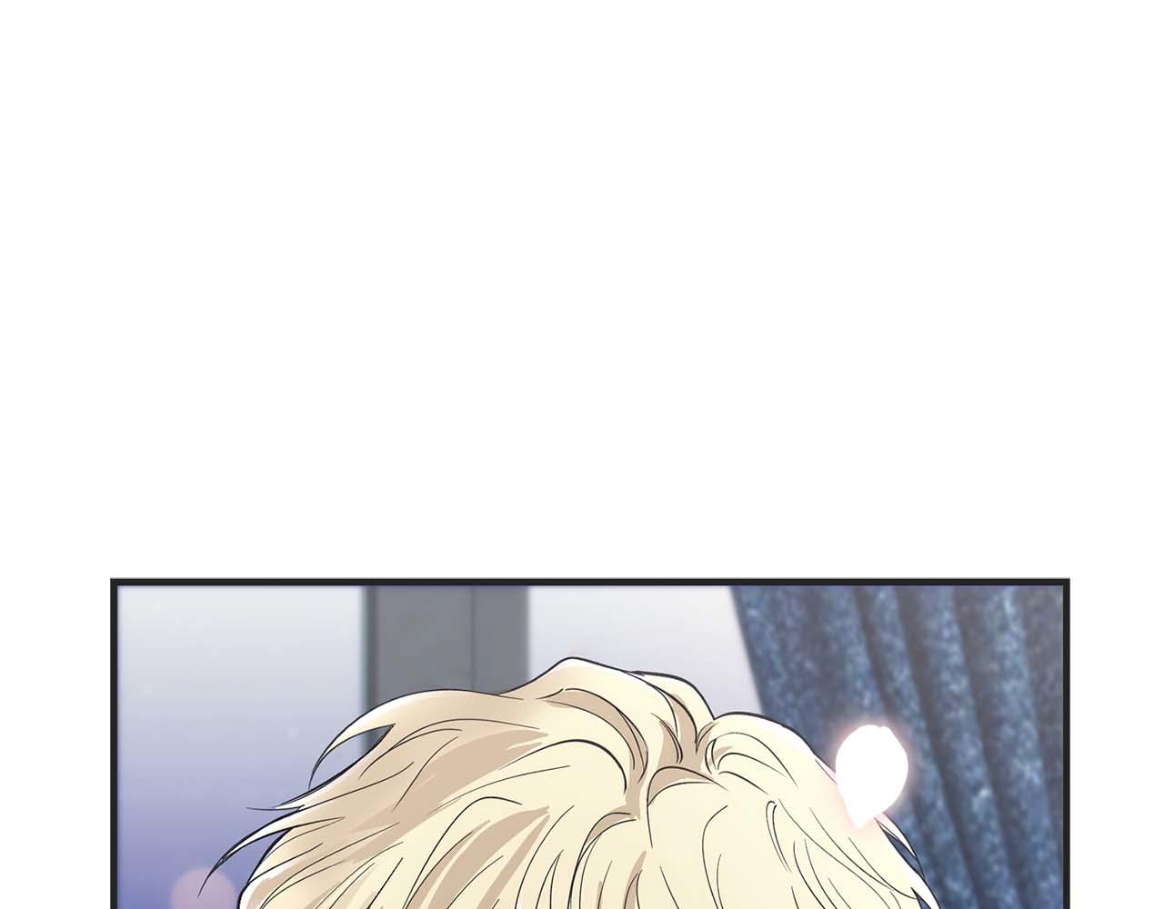 第 195 页
