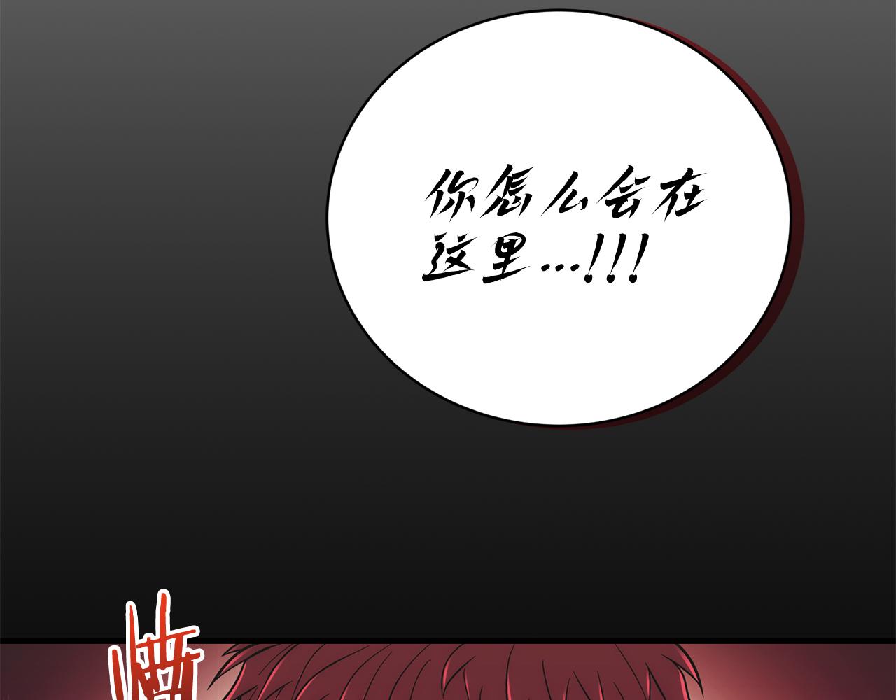 第 204 页