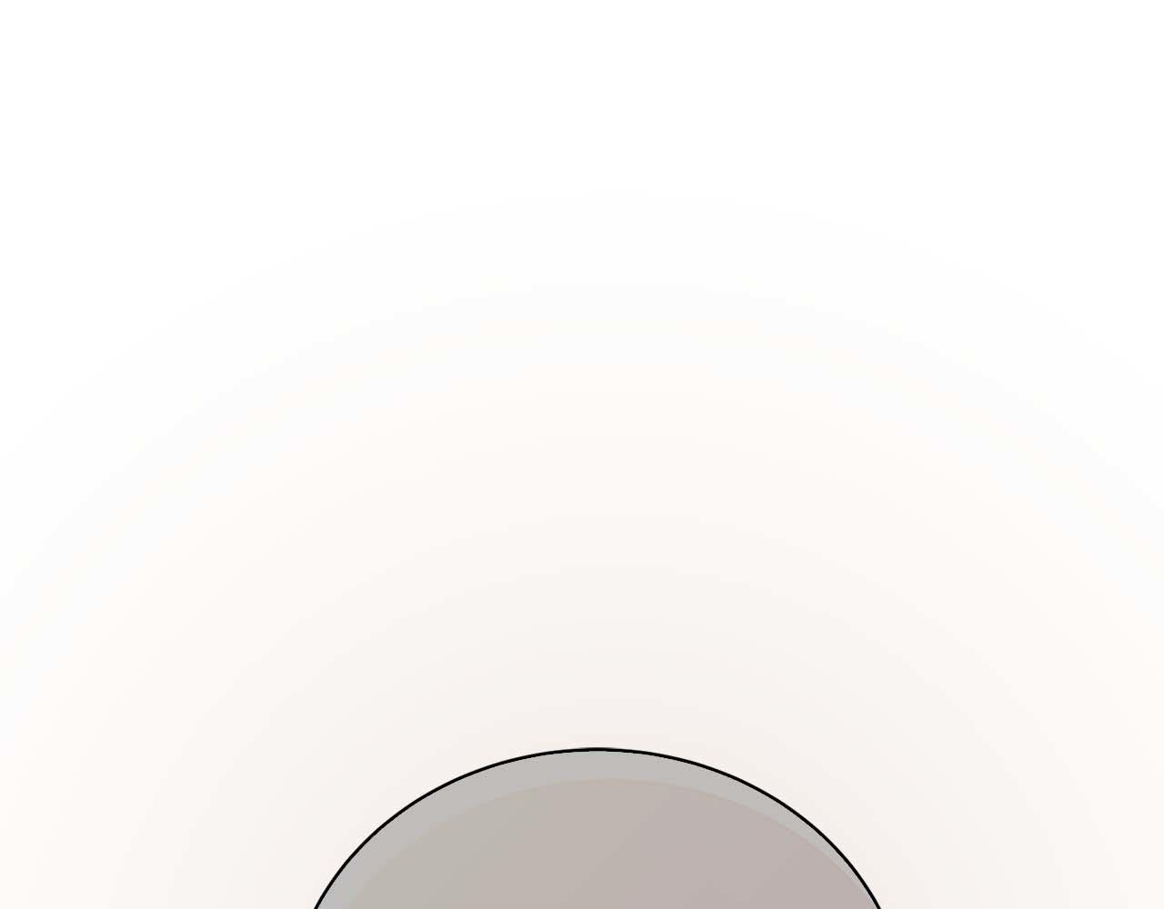 第 113 页