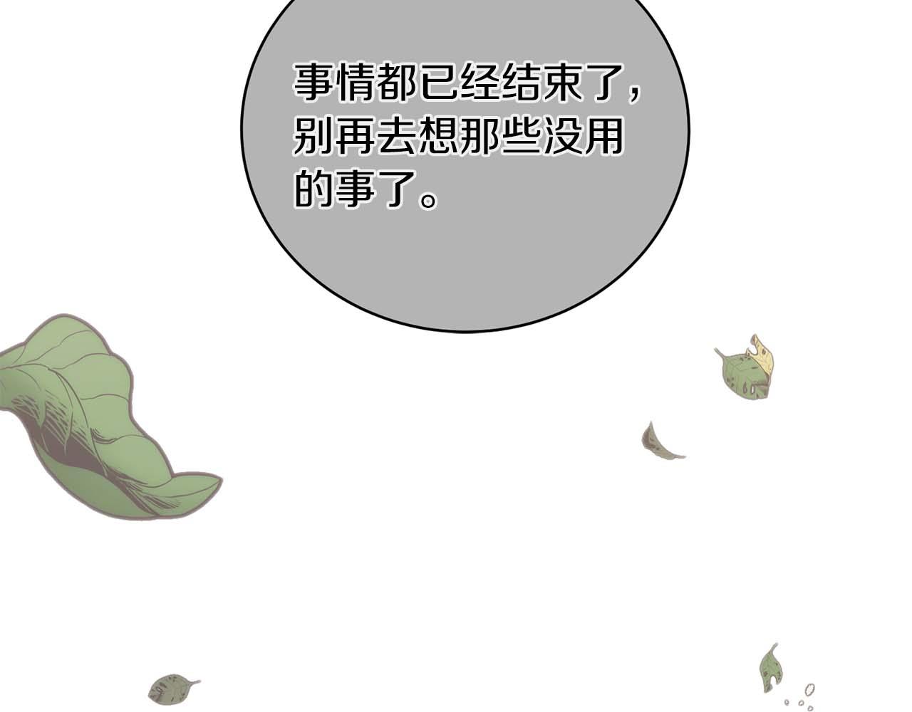 第 242 页
