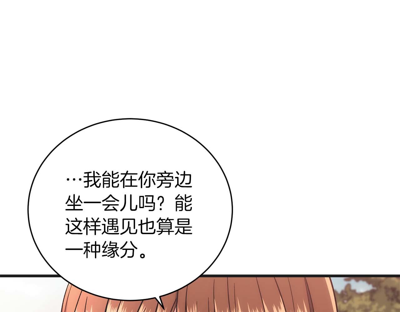 第 204 页
