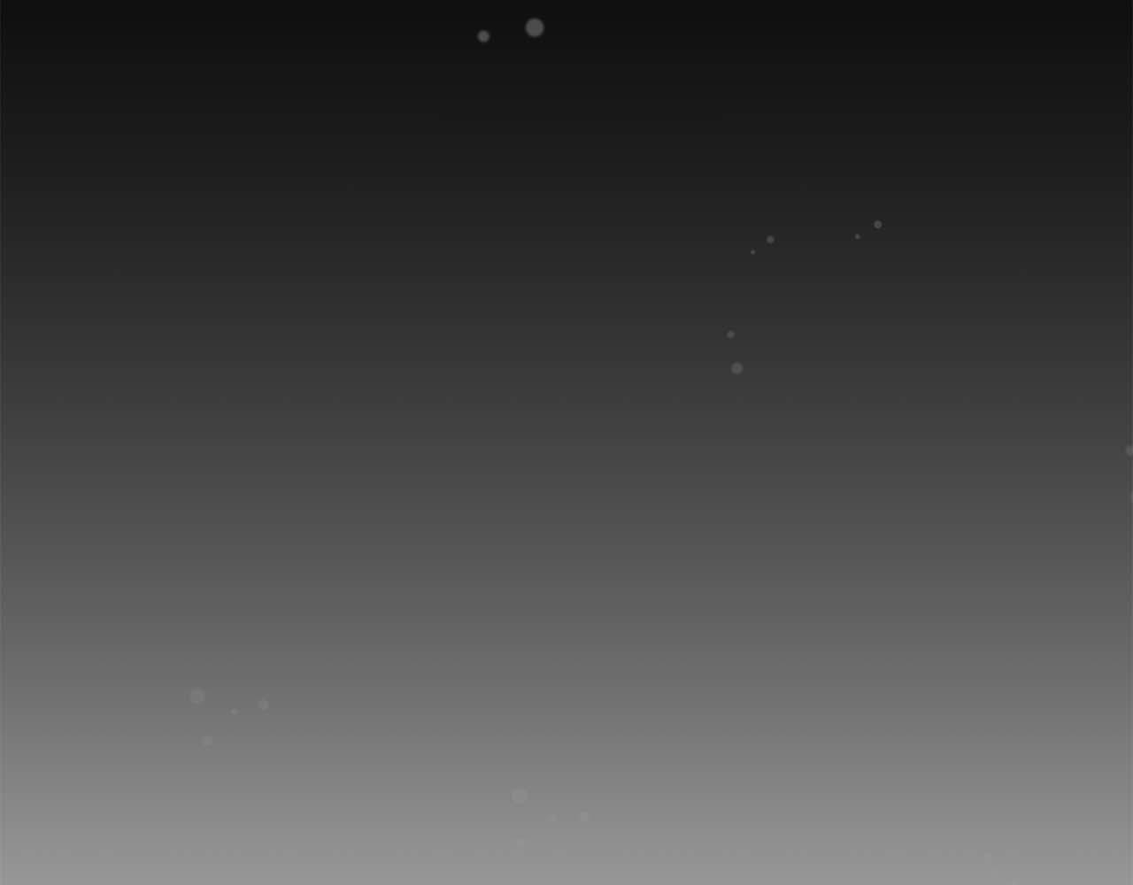 第 207 页