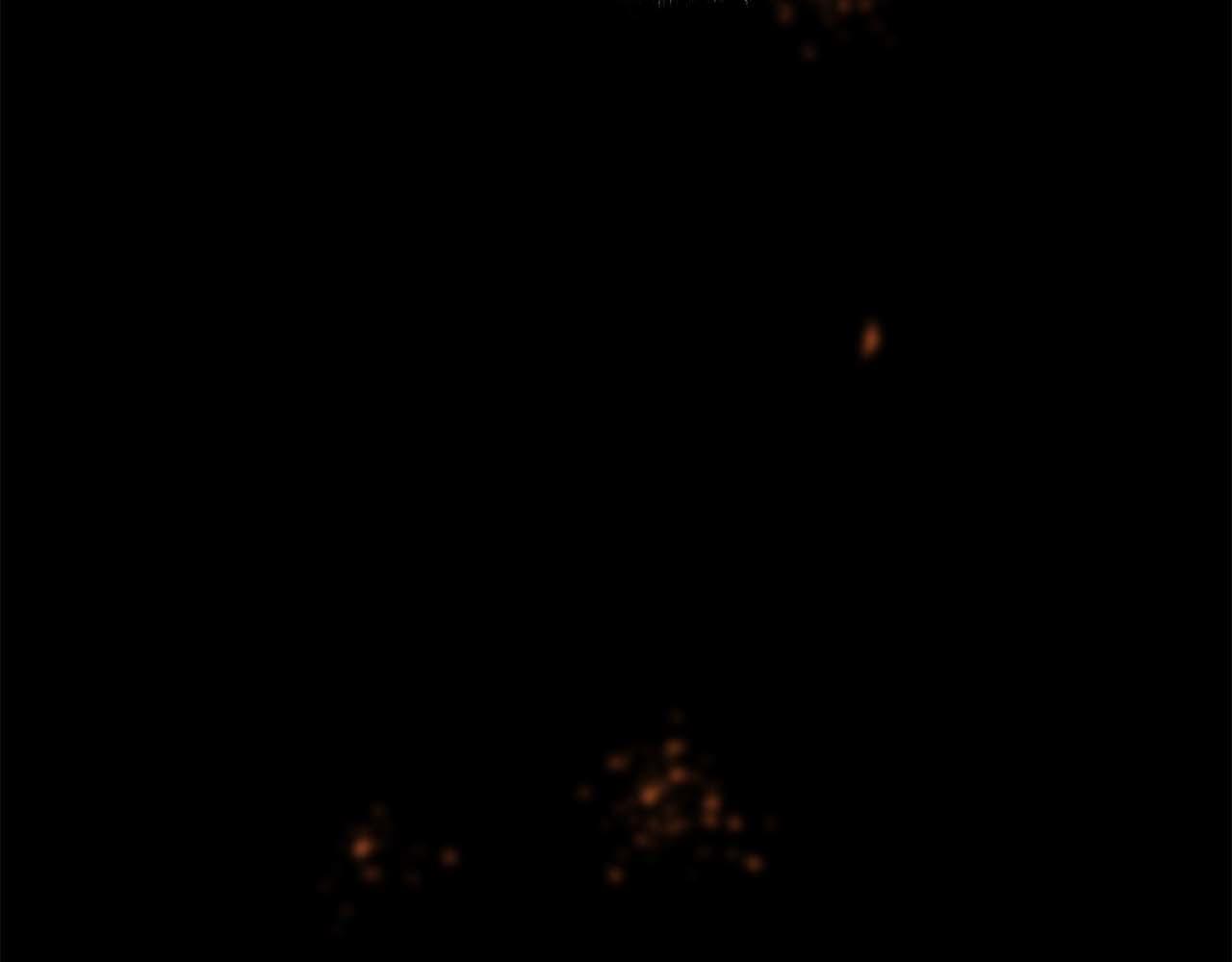 第 111 页