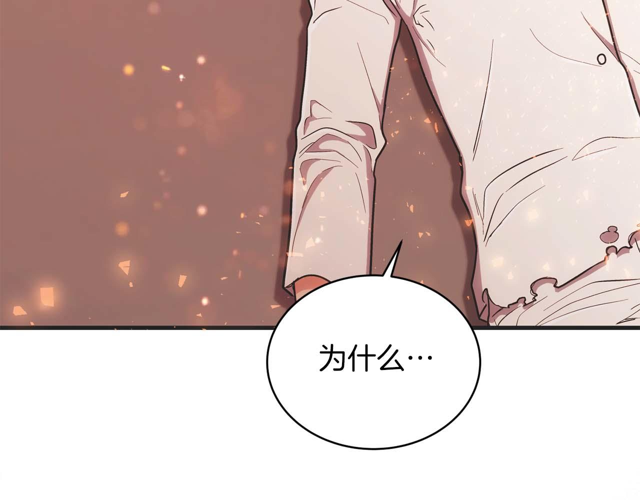 第 204 页