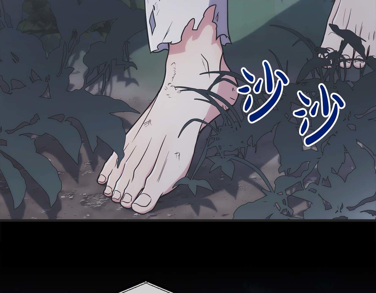 第 213 页
