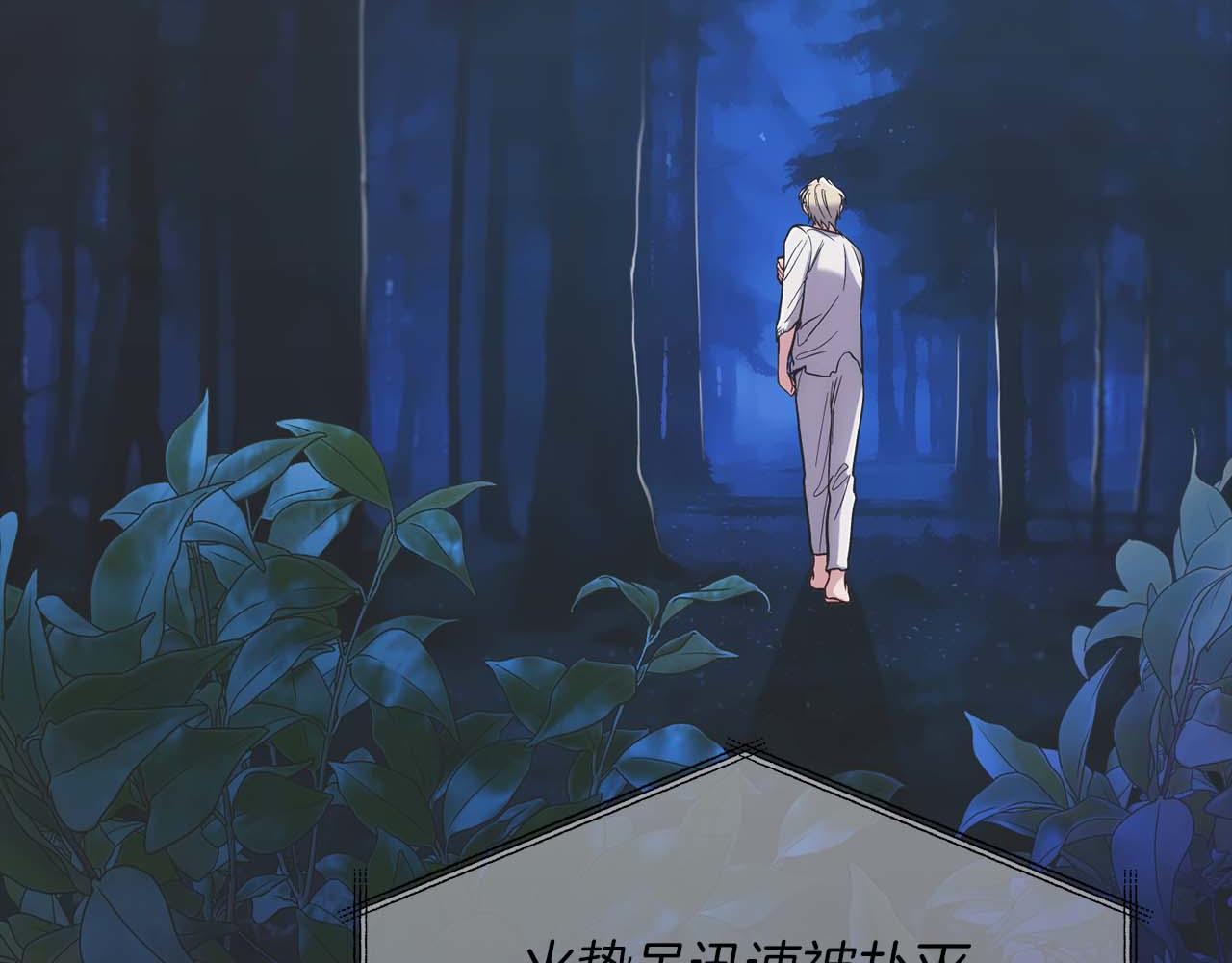 第 215 页