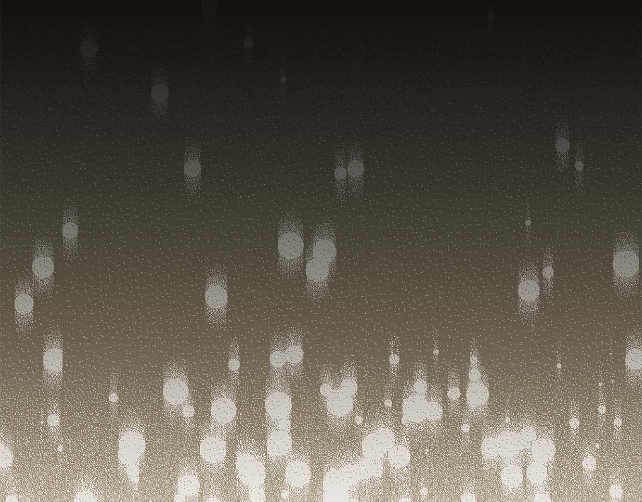 第 193 页