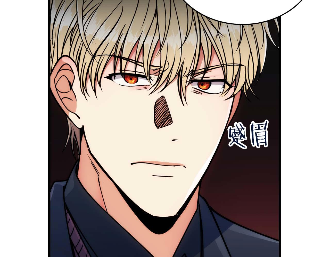 第 95 页