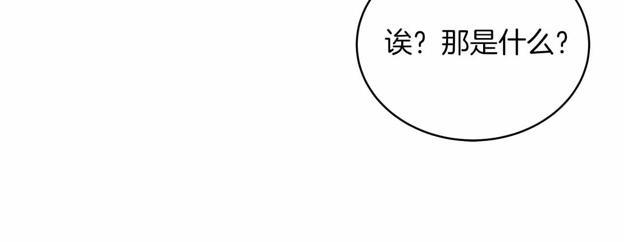 第 116 页