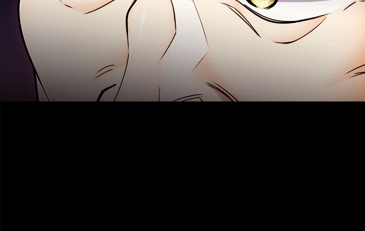 第 133 页