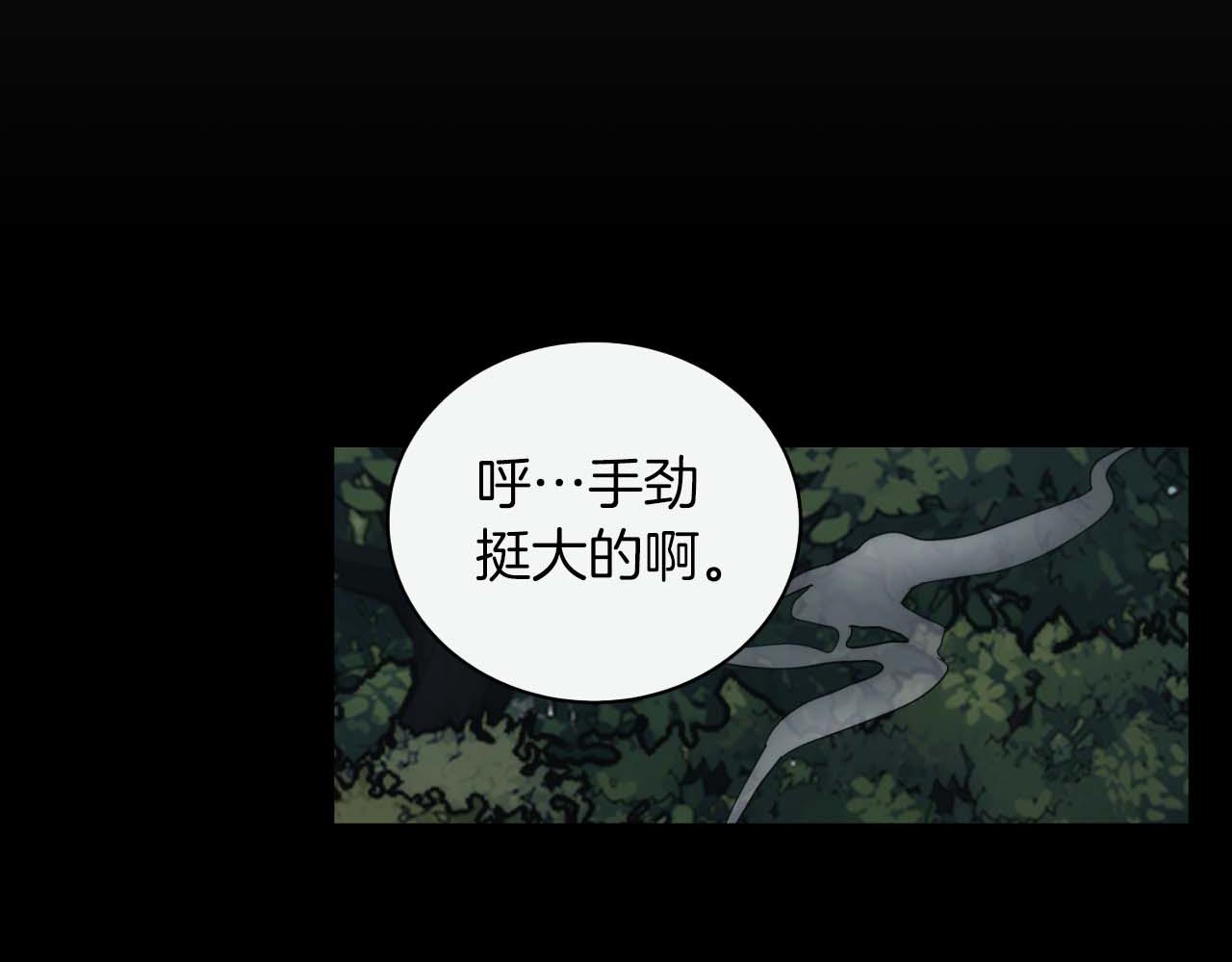 第 197 页