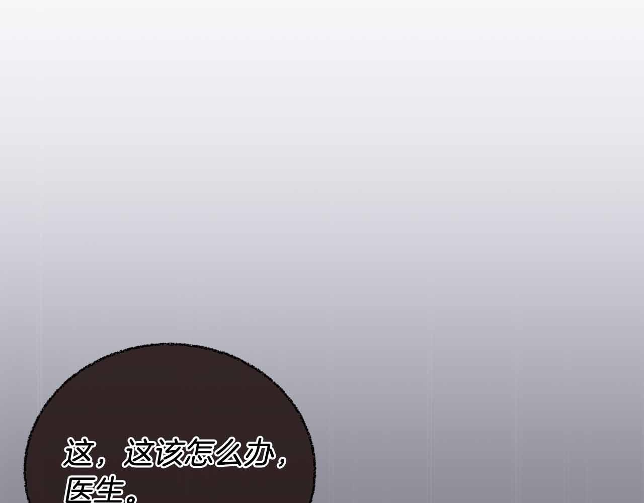 第 151 页