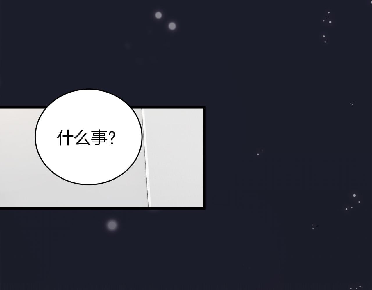 第 217 页