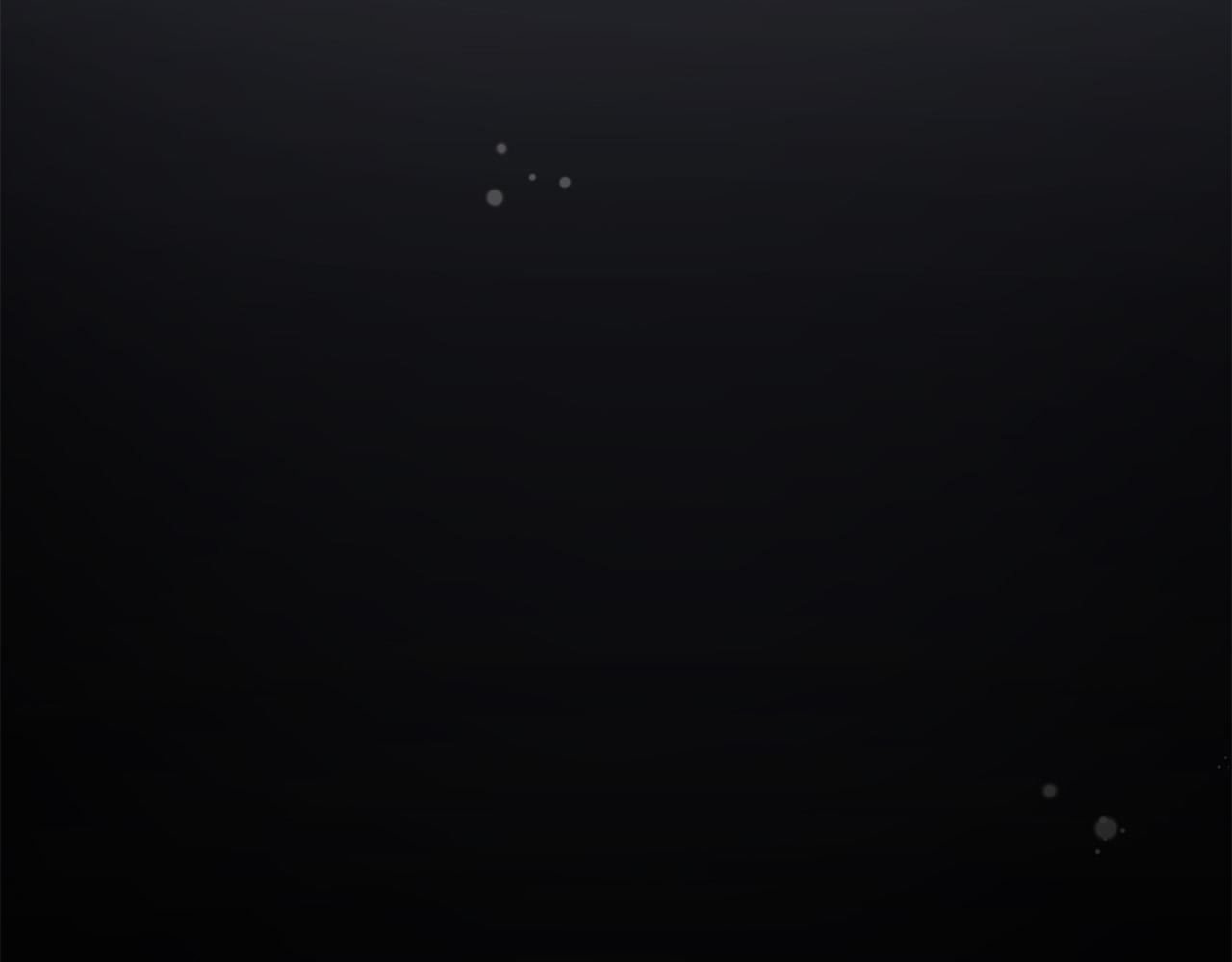 第 225 页