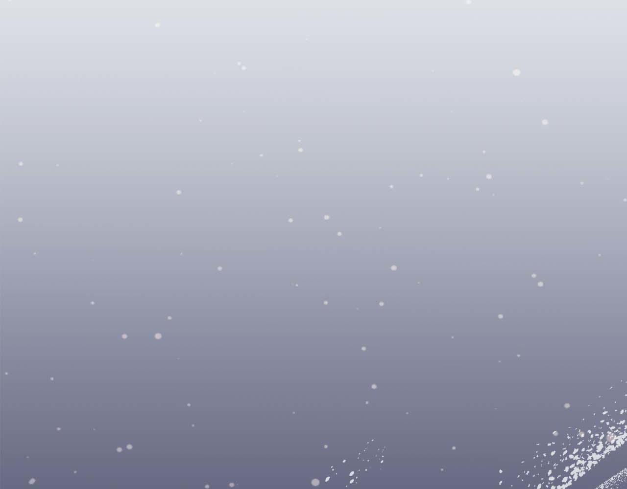 第 233 页