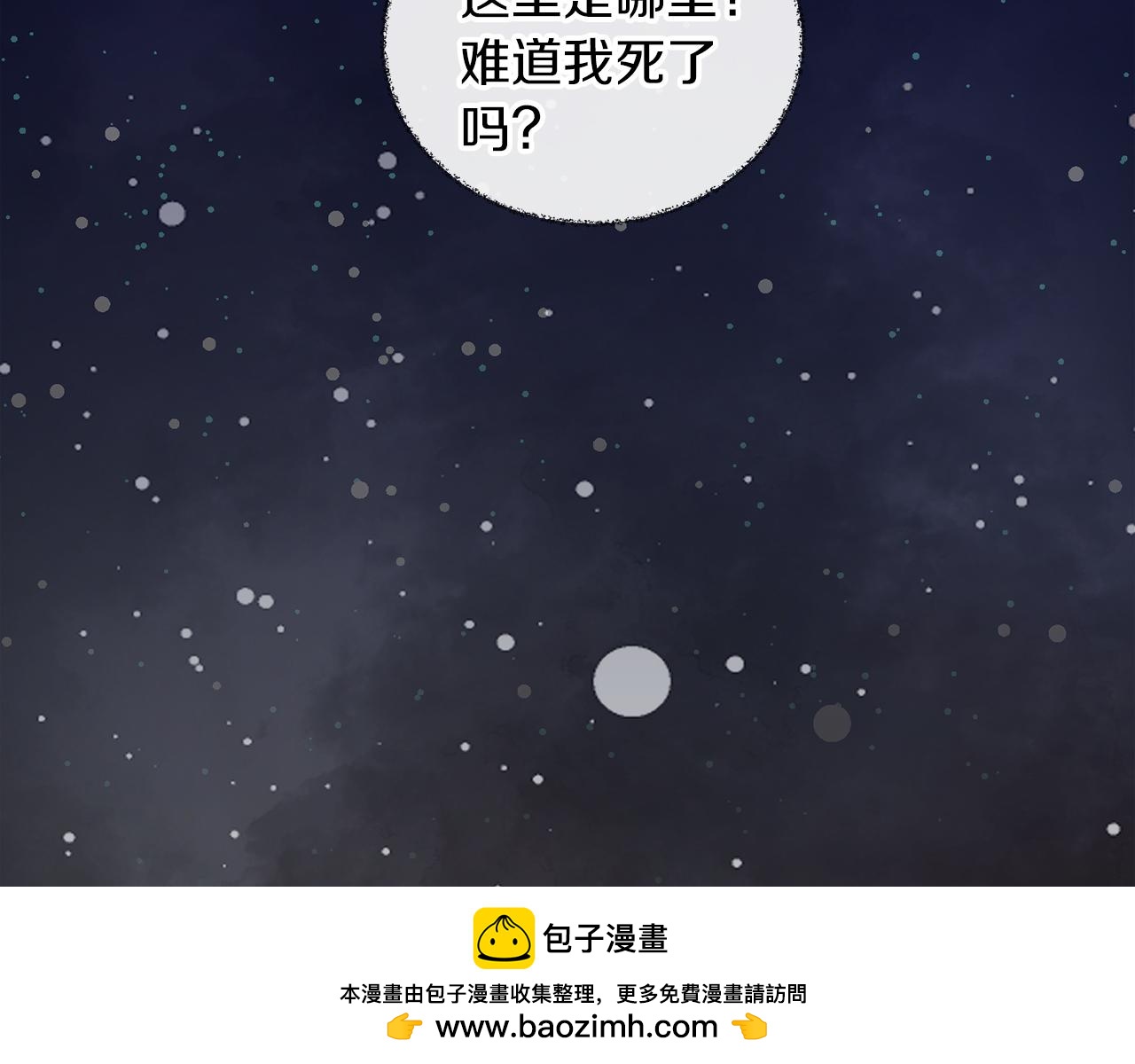 第 100 页