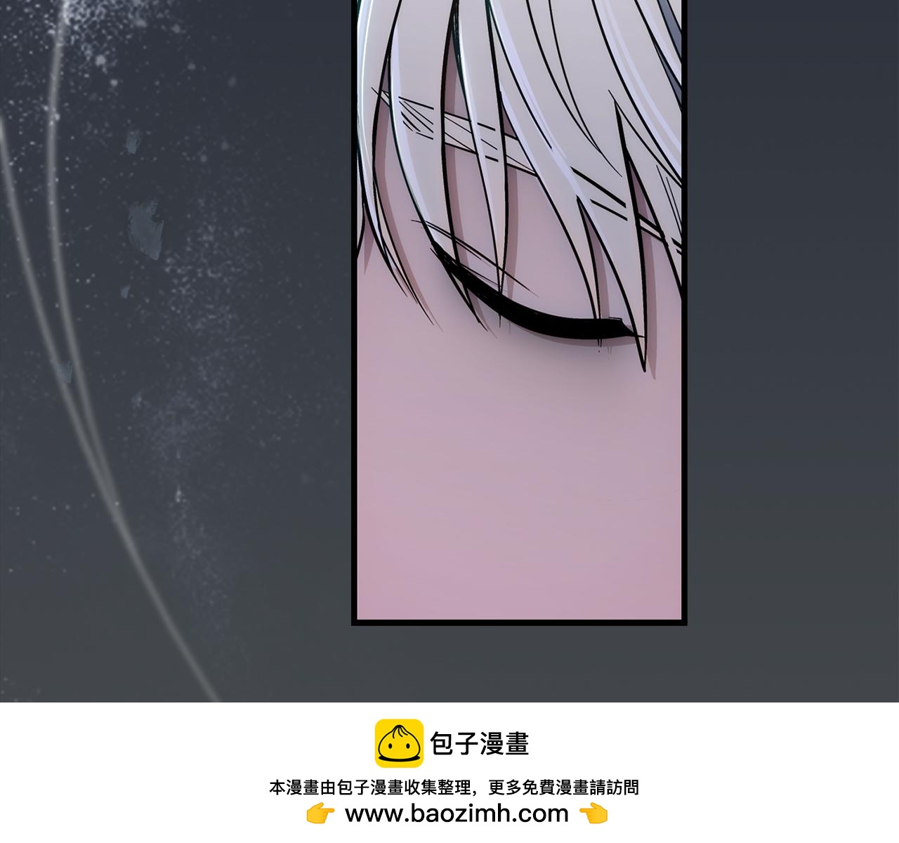 第 100 页