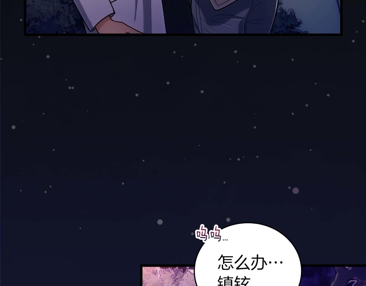 第 106 页