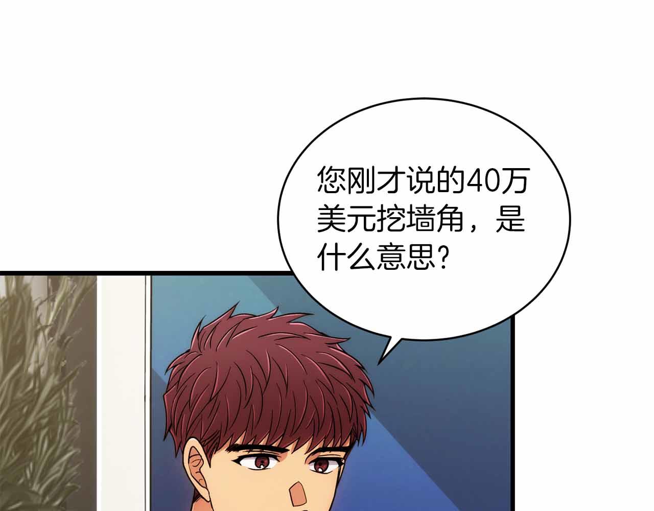 第 204 页