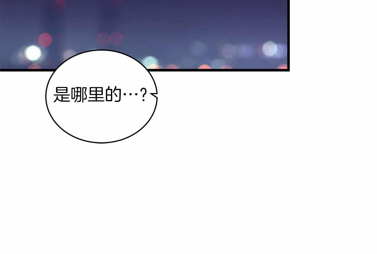 第 216 页