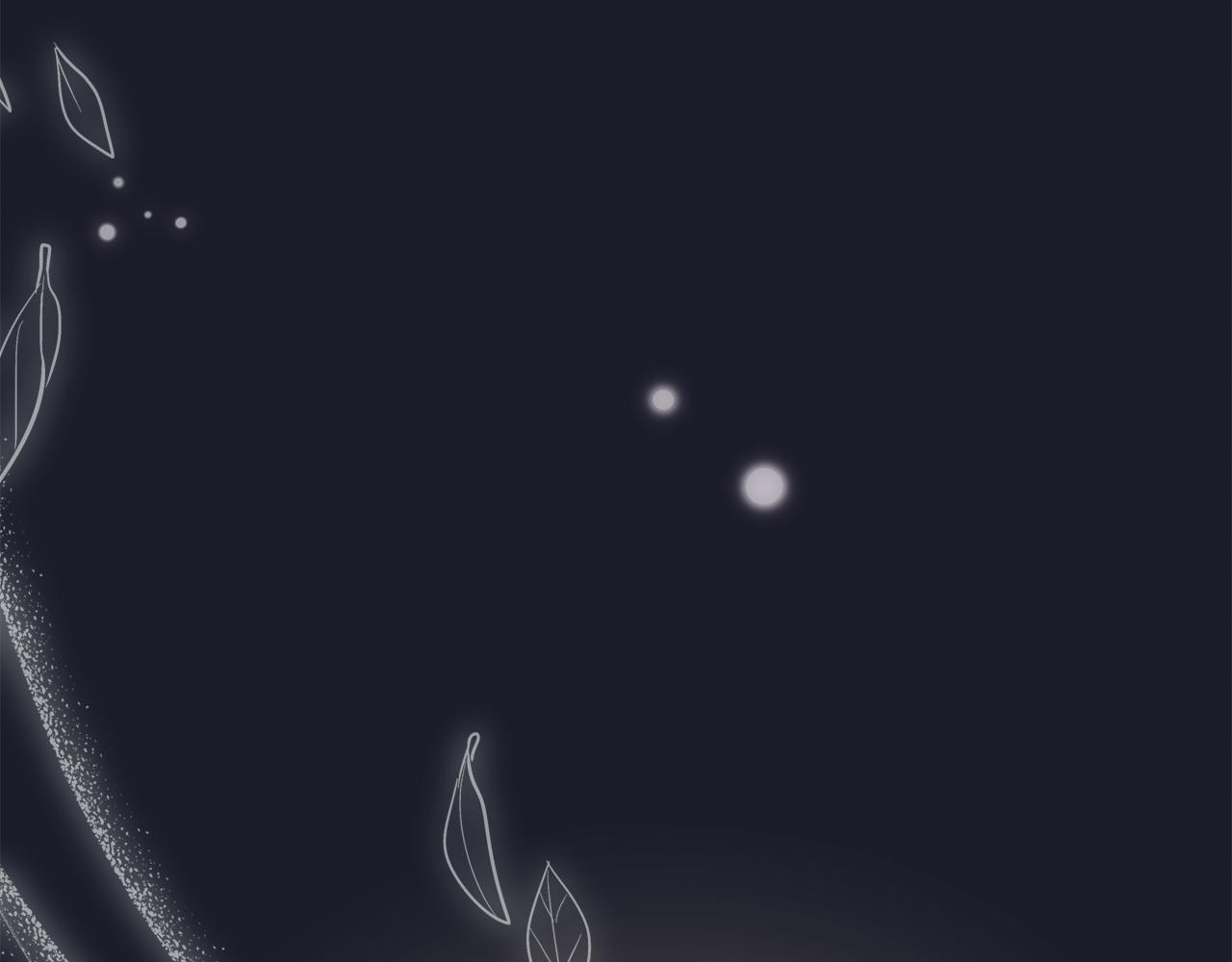 第 204 页