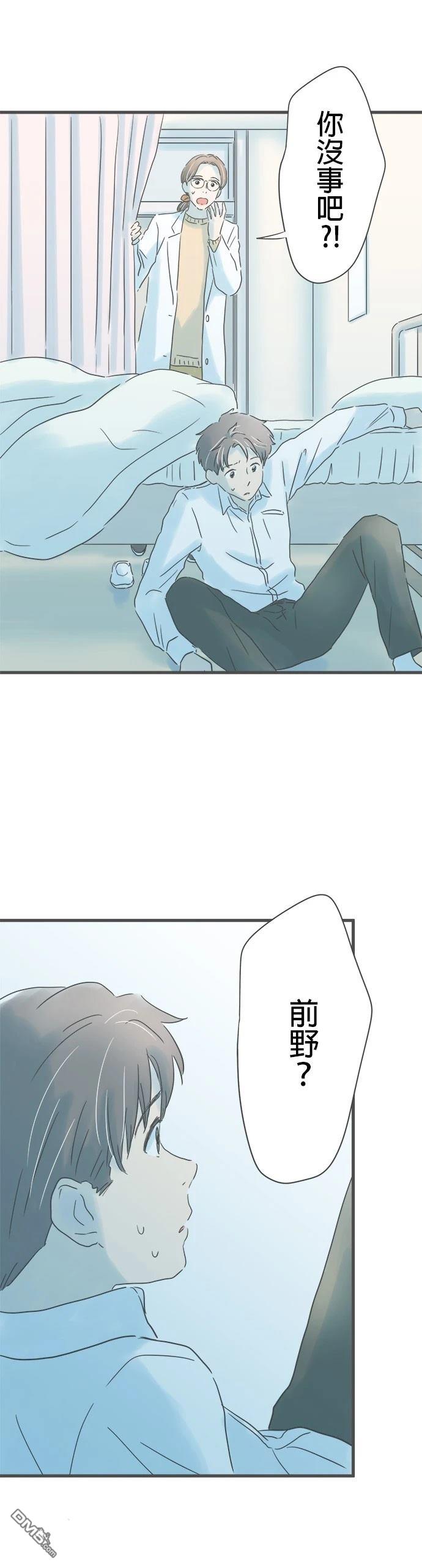 第 31 页