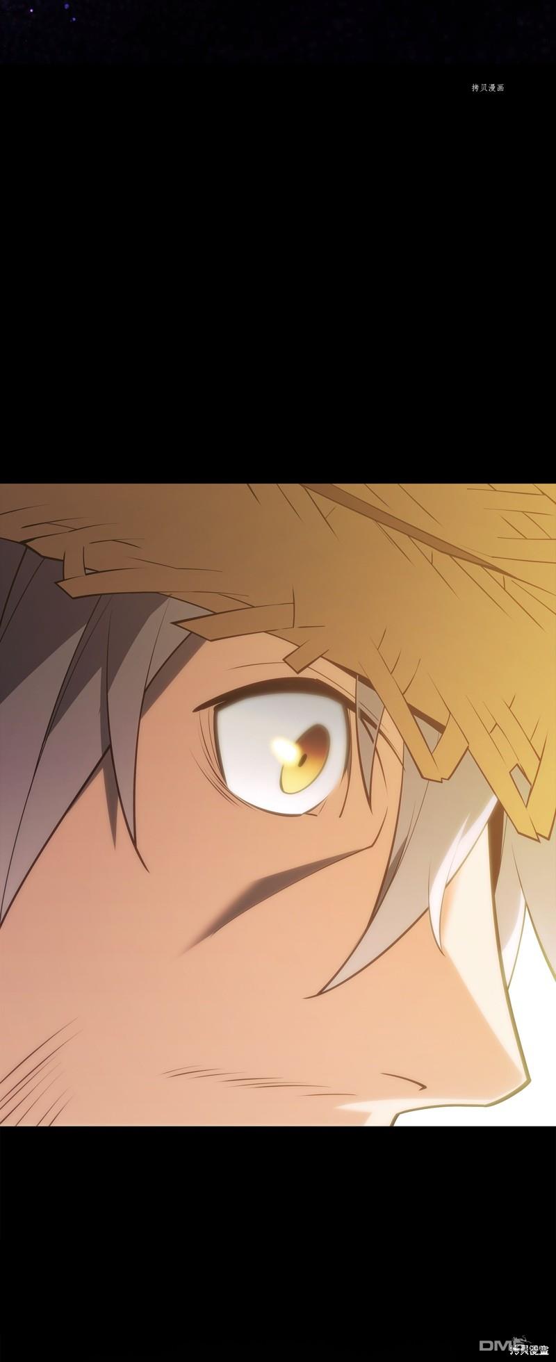 第 116 页
