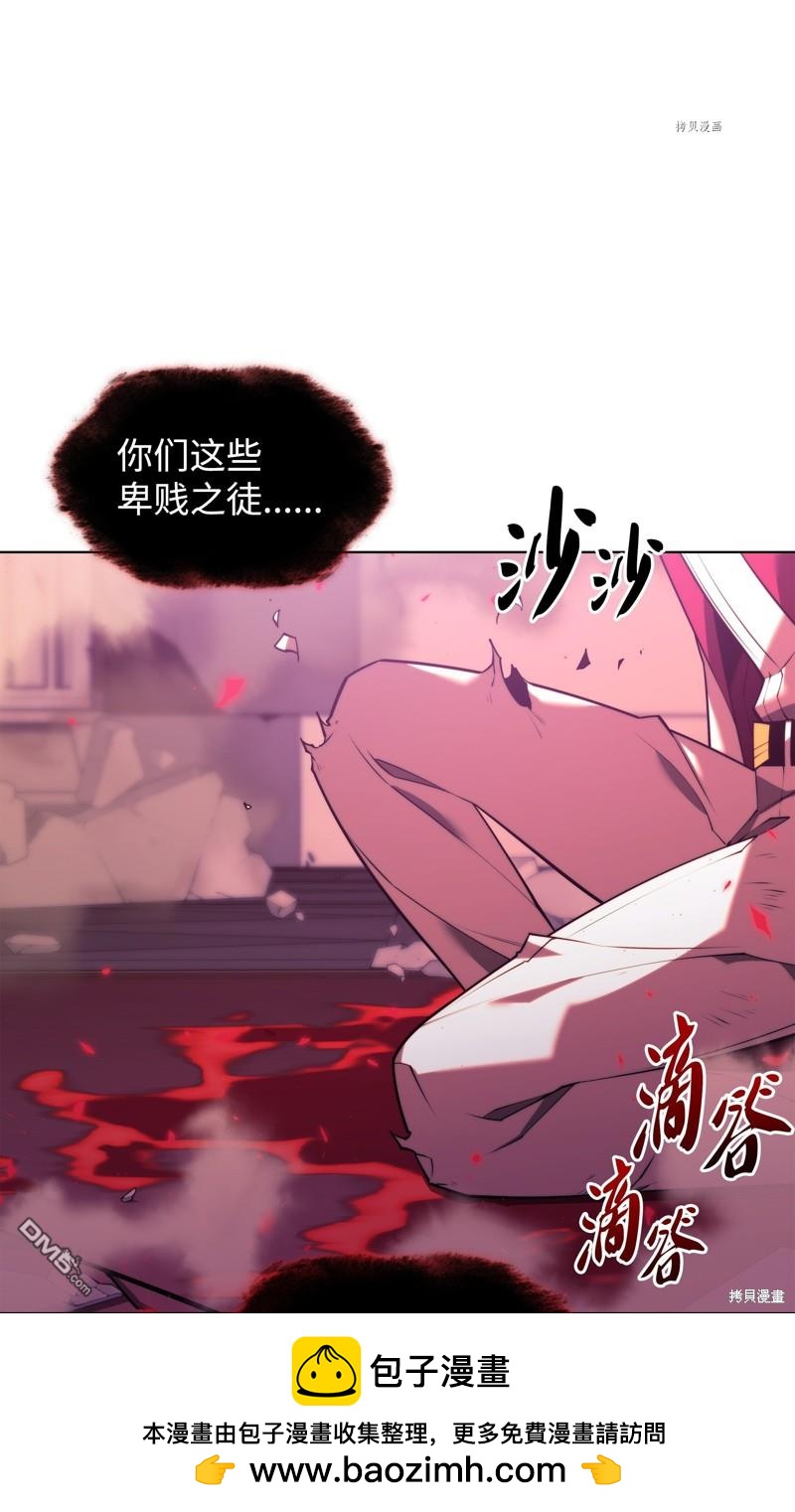 第 113 页