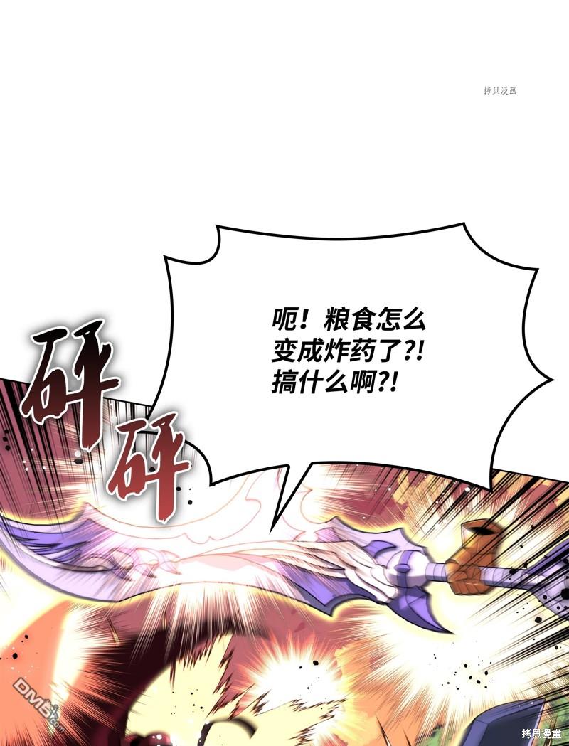 第 113 页