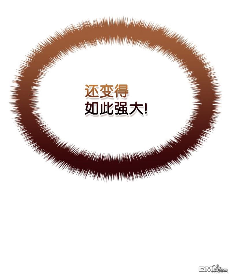 第 135 页