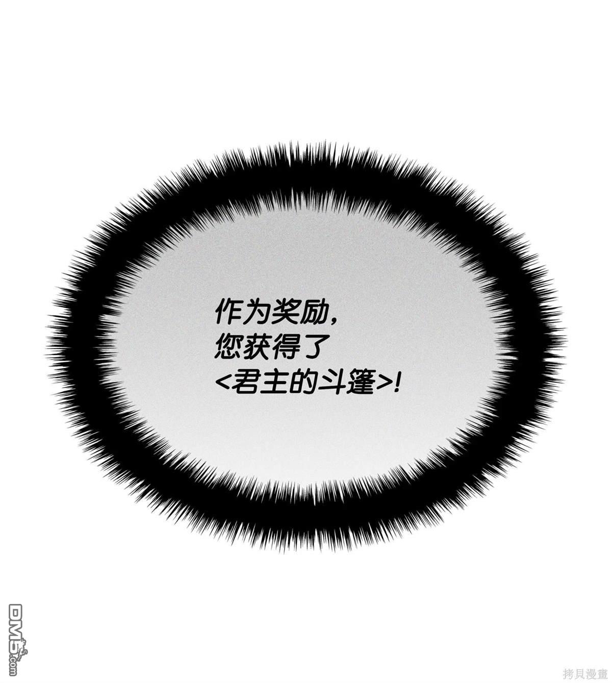第 111 页