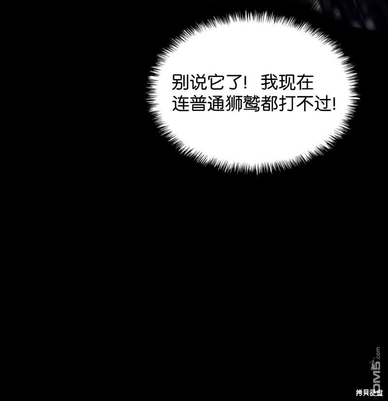 第 68 页