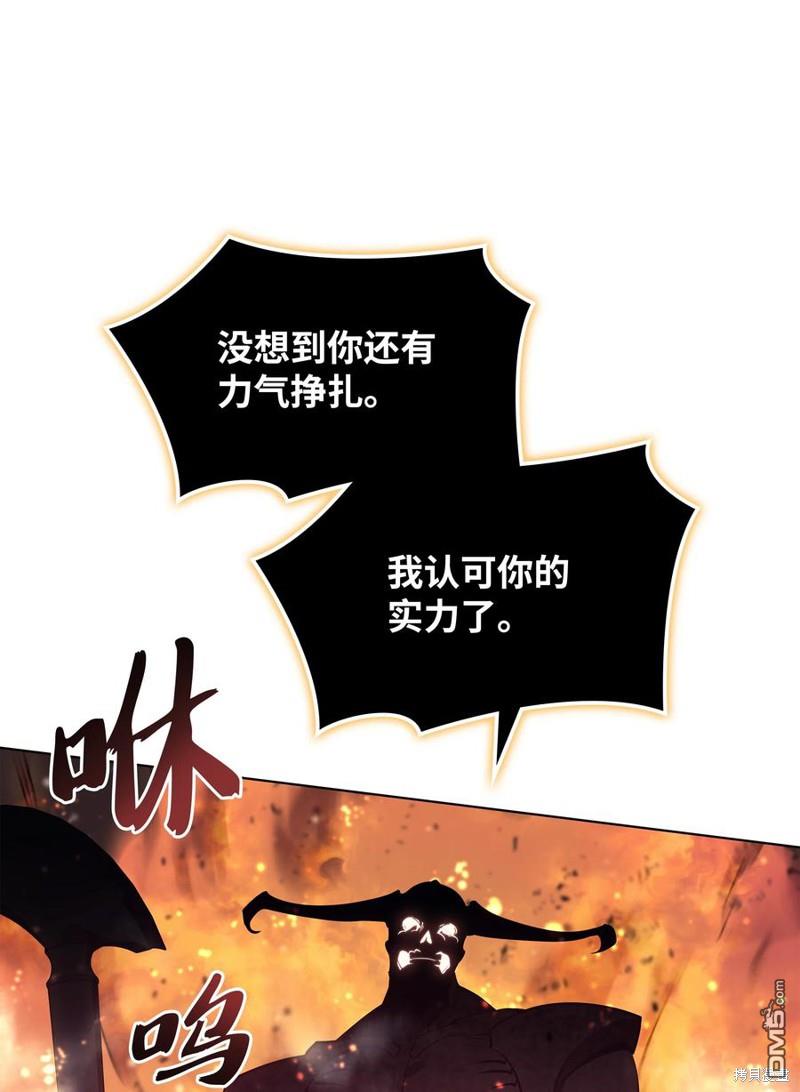 第 113 页