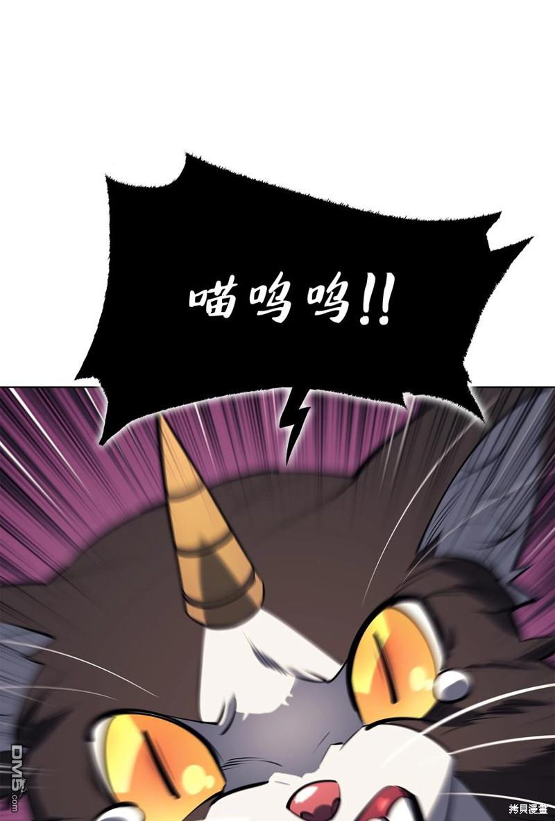 第 111 页