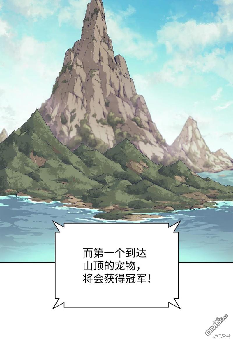 第 97 页
