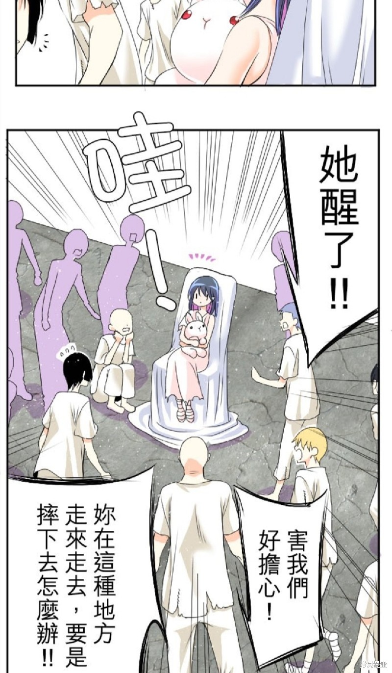 第 17 页