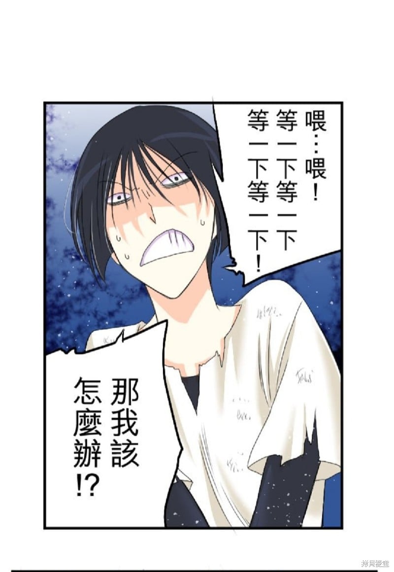 第 41 页