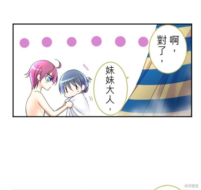 第 51 页