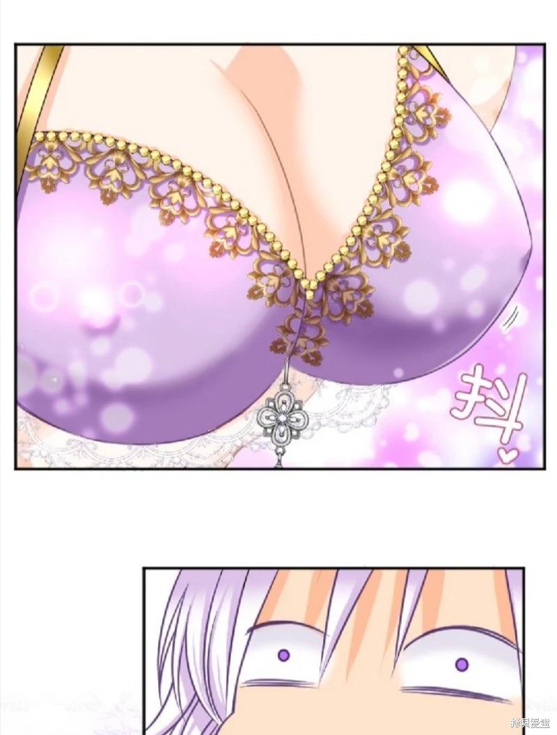 第 41 页